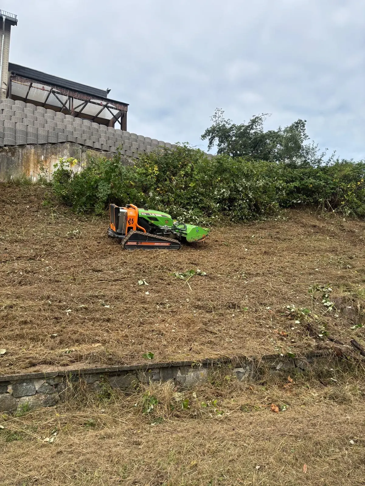 Mulcharbeiten - Bild 1