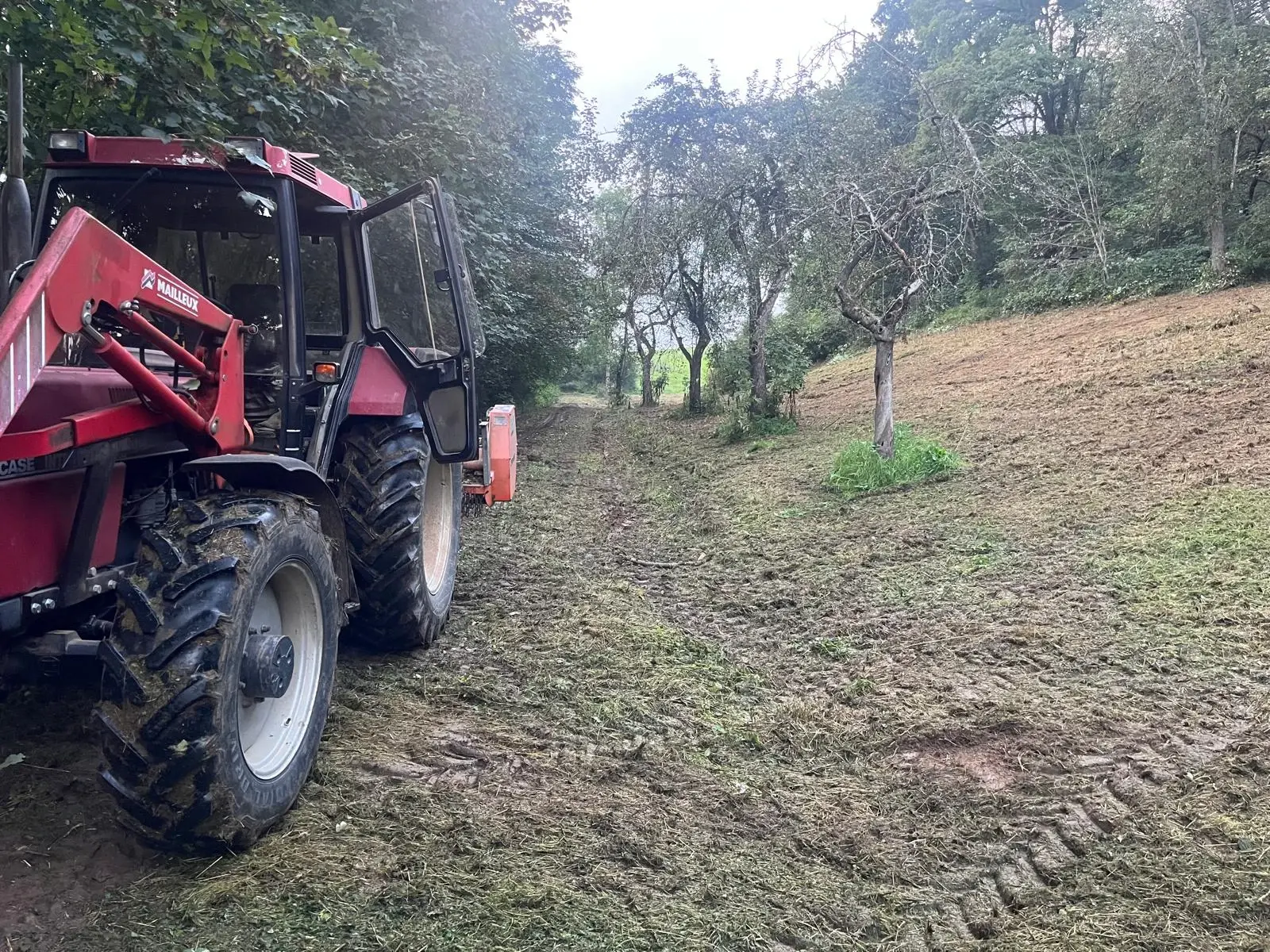 Traktor mit gemähtem Rasen