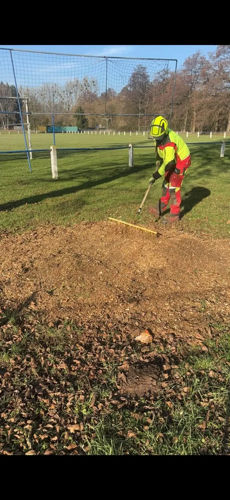 Wurzelentfernung - Bild 3