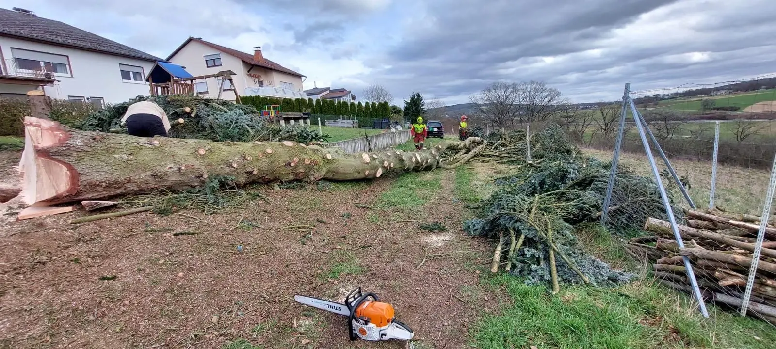Baumfällungen & Baumpflege - Bild 7