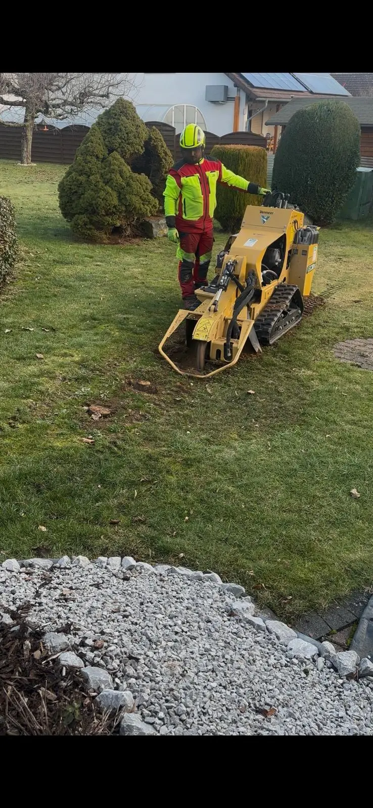 Wurzelentfernung - Bild 1