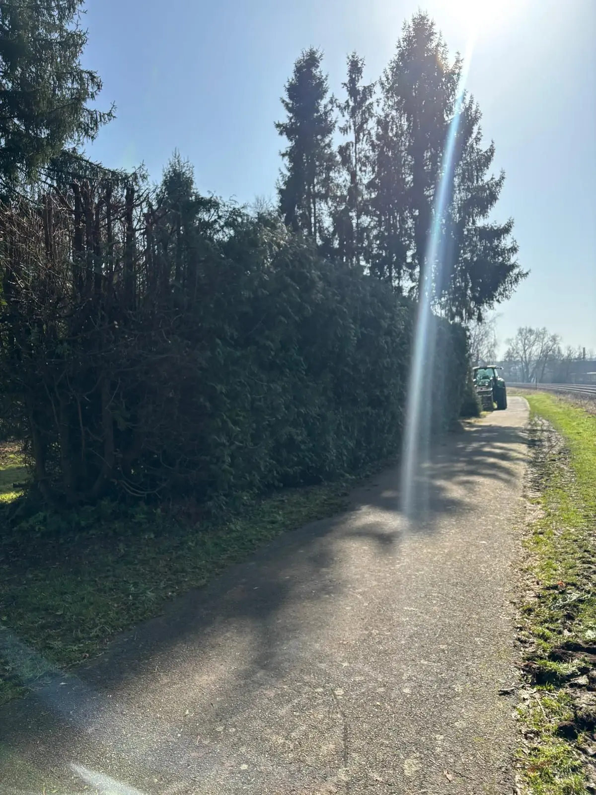 Heckenschnitt & Grünschnitt - Bild 3