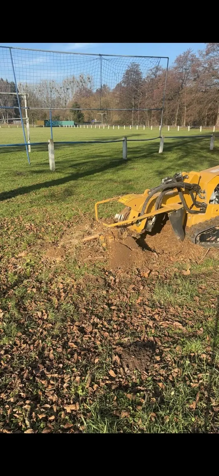 Wurzelentfernung - Bild 2