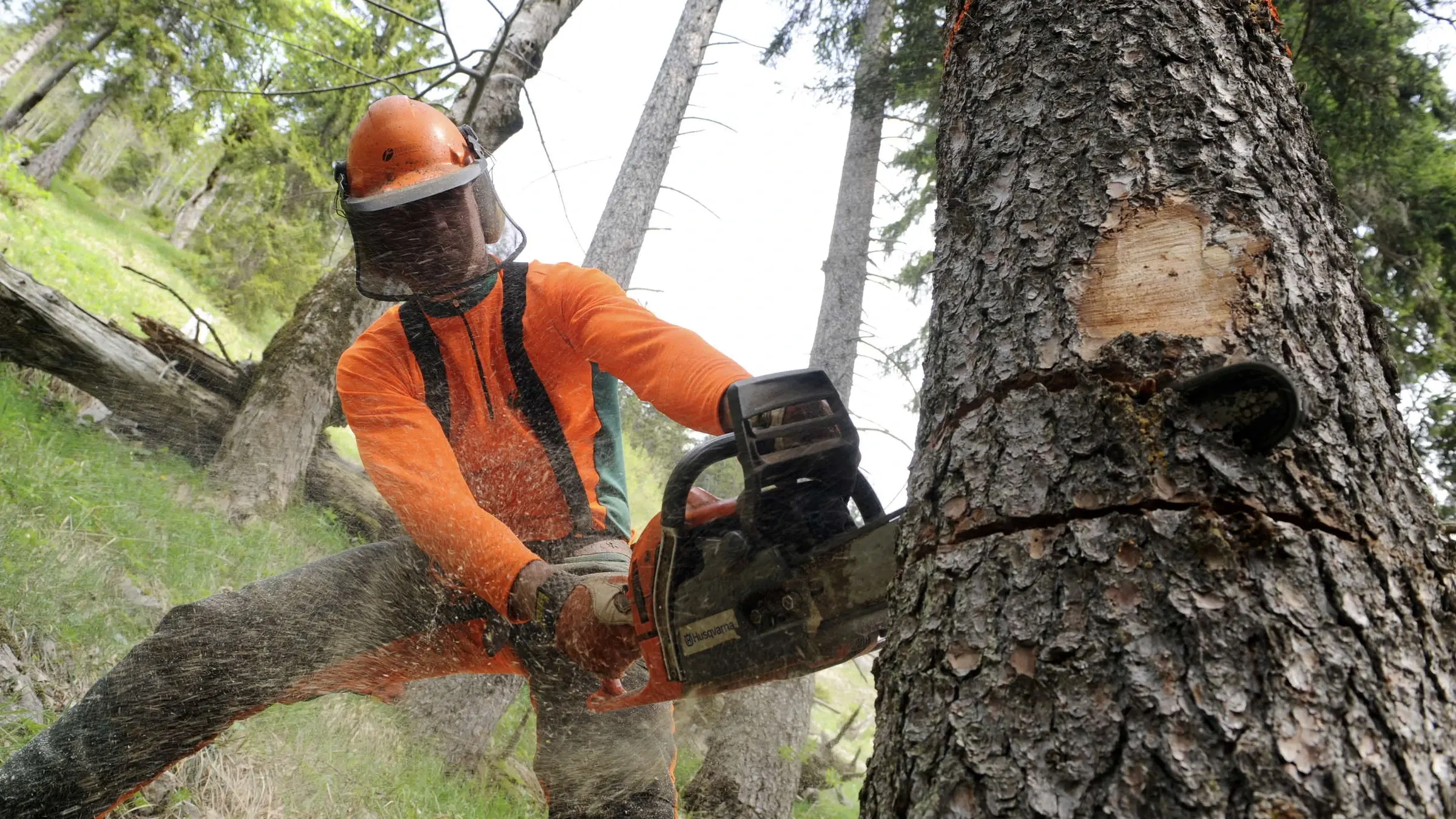 Grünpflege Theiß bei der Arbeit